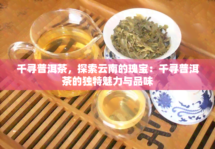 千寻普洱茶，探索云南的瑰宝：千寻普洱茶的独特魅力与品味