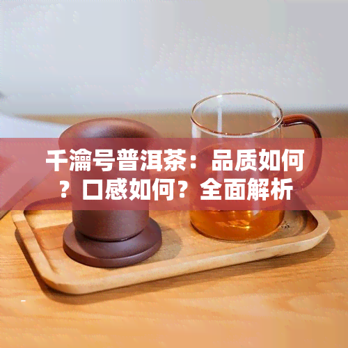 千瀹号普洱茶：品质如何？口感如何？全面解析