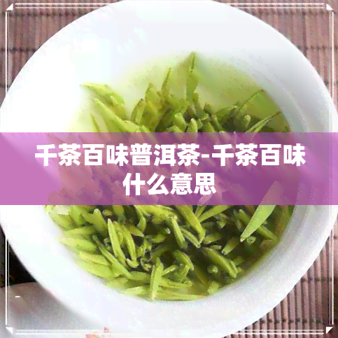 千茶百味普洱茶-千茶百味什么意思