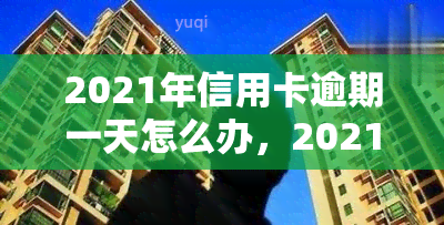 2021年信用卡逾期一天怎么办，2021年信用卡逾期一天：如何应对与解决