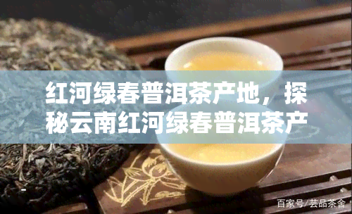 红河绿春普洱茶产地，探秘云南红河绿春普洱茶产地，品味大自然的馈赠