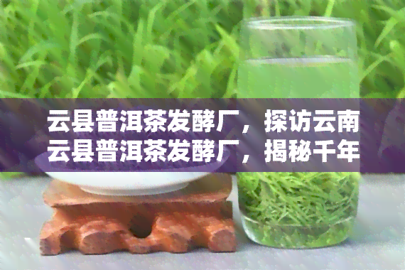 云县普洱茶发酵厂，探访云南云县普洱茶发酵厂，揭秘千年茶文化的独特魅力