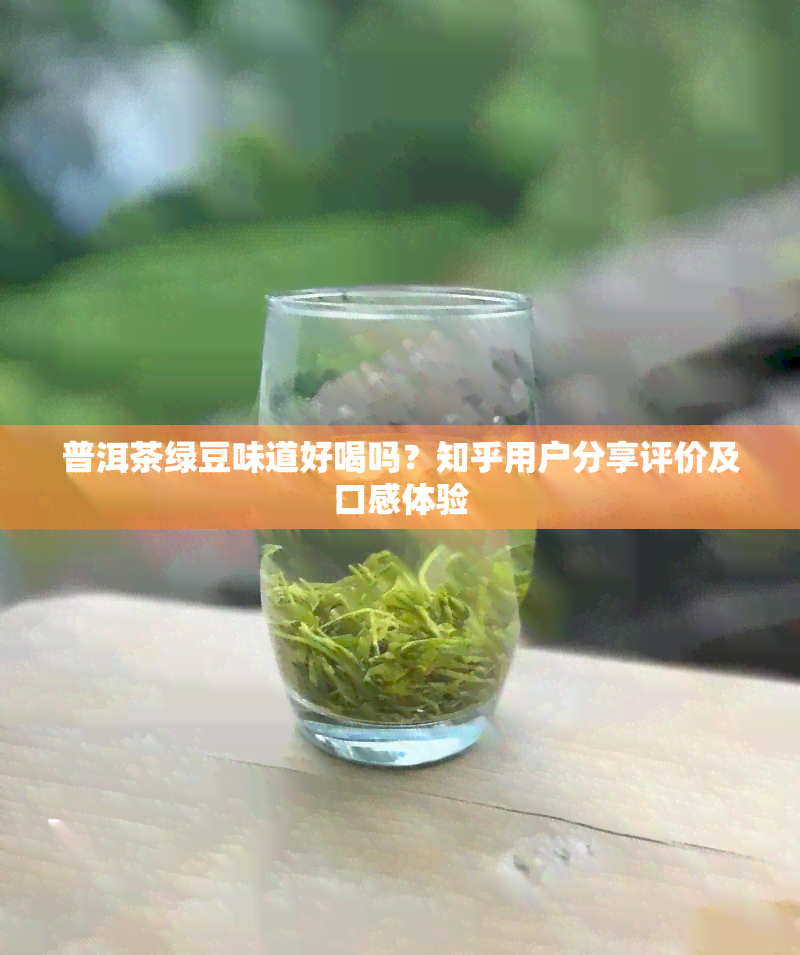 普洱茶绿豆味道好喝吗？知乎用户分享评价及口感体验