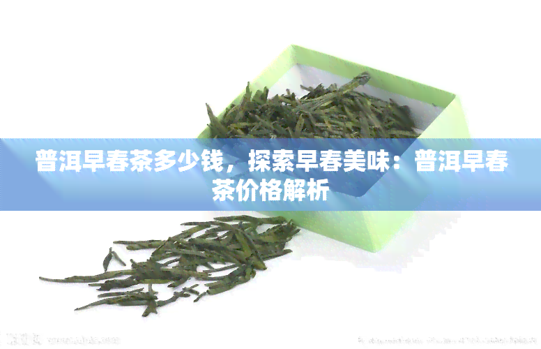 普洱早春茶多少钱，探索早春美味：普洱早春茶价格解析