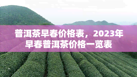 普洱茶早春价格表，2023年早春普洱茶价格一览表