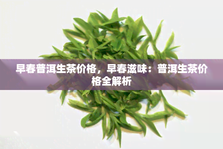 早春普洱生茶价格，早春滋味：普洱生茶价格全解析