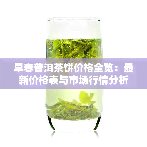 早春普洱茶饼价格全览：最新价格表与市场行情分析