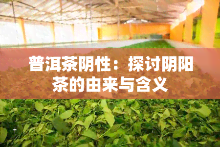 普洱茶阴性：探讨阴阳茶的由来与含义