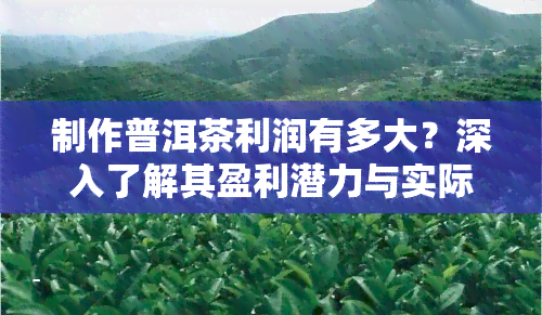 制作普洱茶利润有多大？深入了解其盈利潜力与实际收益