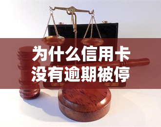 为什么信用卡没有逾期被停了，为何你的信用卡未逾期却被停用了？原因解析