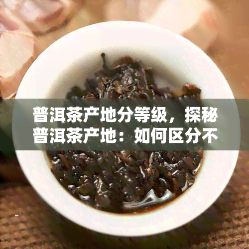 普洱茶产地分等级，探秘普洱茶产地：如何区分不同等级的茶叶？