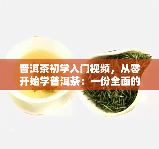 普洱茶初学入门视频，从零开始学普洱茶：一份全面的初学者入门指南