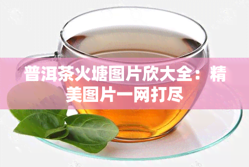 普洱茶火塘图片欣大全：精美图片一网打尽