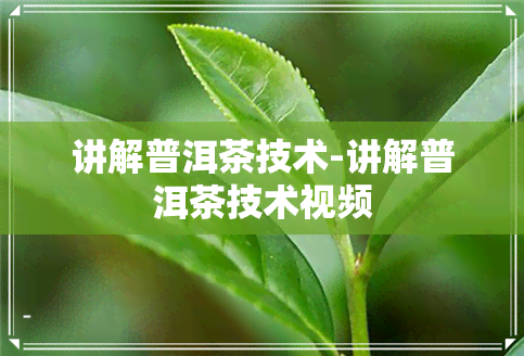 讲解普洱茶技术-讲解普洱茶技术视频