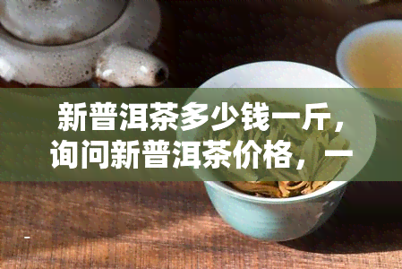 新普洱茶多少钱一斤，询问新普洱茶价格，一斤需要多少？