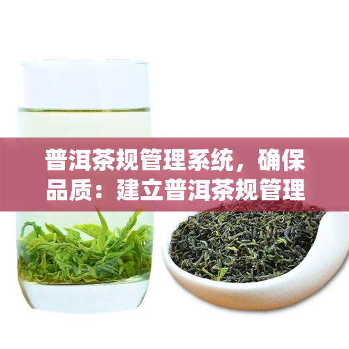 普洱茶规管理系统，确保品质：建立普洱茶规管理系统的重要性和优势