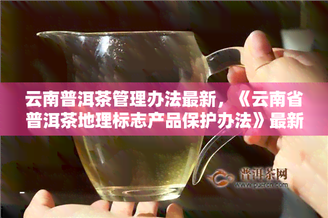 云南普洱茶管理办法最新，《云南省普洱茶地理标志产品保护办法》最新修订