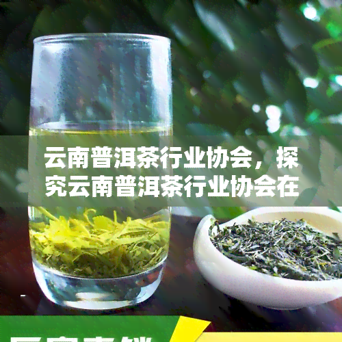 云南普洱茶行业协会，探究云南普洱茶行业协会在推动产业发展中的作用与影响