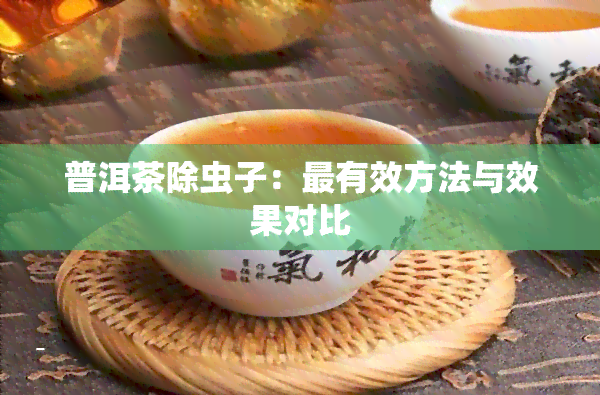 普洱茶除虫子：最有效方法与效果对比