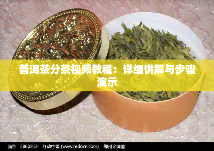 普洱茶分茶视频教程：详细讲解与步骤演示