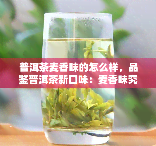 普洱茶麦香味的怎么样，品鉴普洱茶新口味：麦香味究竟如何？