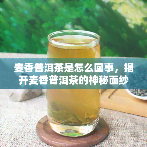 麦香普洱茶是怎么回事，揭开麦香普洱茶的神秘面纱：它到底是什么？