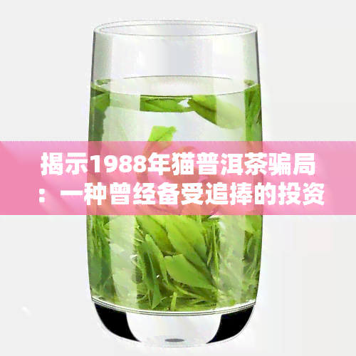 揭示1988年猫普洱茶骗局：一种曾经备受追捧的投资产品