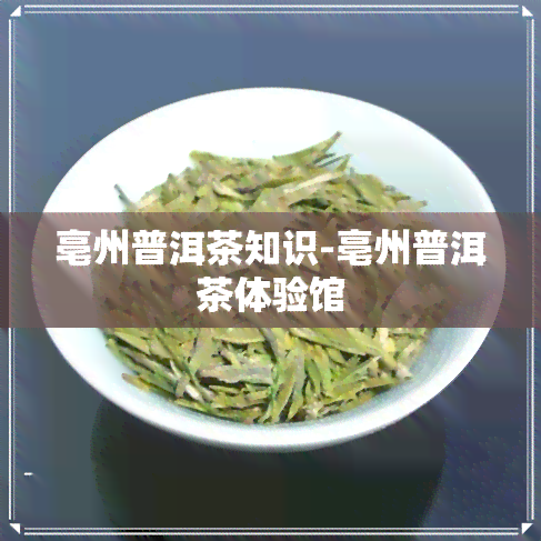 亳州普洱茶知识-亳州普洱茶体验馆