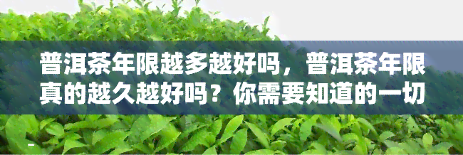 普洱茶年限越多越好吗，普洱茶年限真的越久越好吗？你需要知道的一切