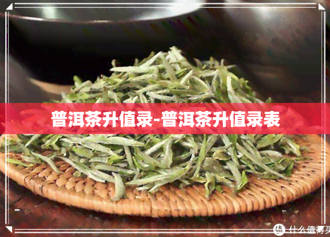 普洱茶升值录-普洱茶升值录表