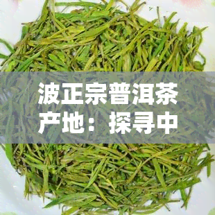 波正宗普洱茶产地：探寻中国茶文化的瑰宝