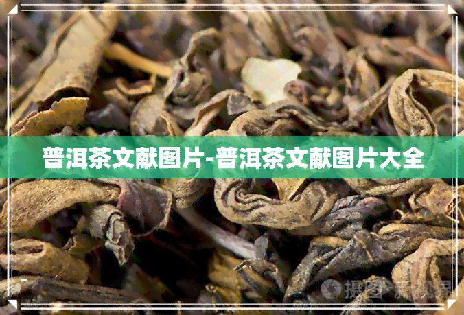 普洱茶文献图片-普洱茶文献图片大全