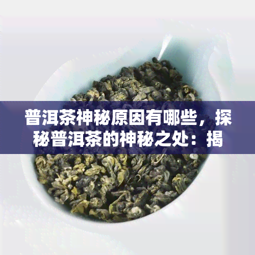 普洱茶神秘原因有哪些，探秘普洱茶的神秘之处：揭秘其独特魅力的五大原因