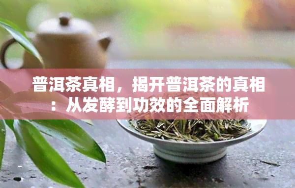 普洱茶真相，揭开普洱茶的真相：从发酵到功效的全面解析