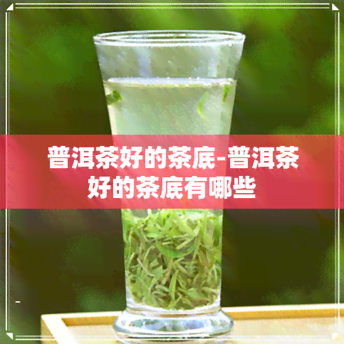 普洱茶好的茶底-普洱茶好的茶底有哪些