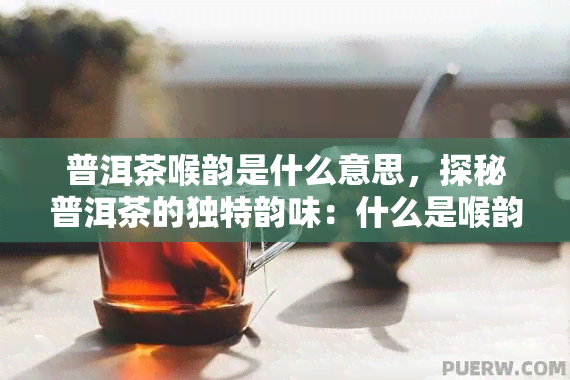 普洱茶喉韵是什么意思，探秘普洱茶的独特韵味：什么是喉韵？