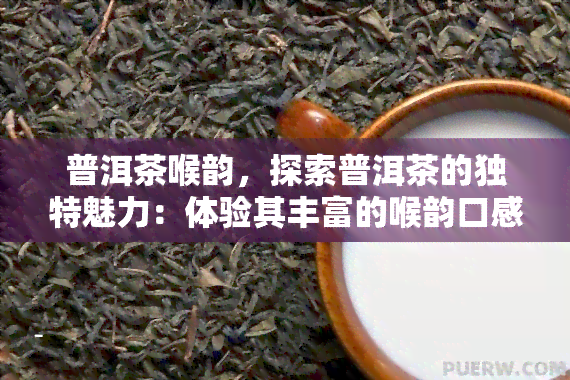 普洱茶喉韵，探索普洱茶的独特魅力：体验其丰富的喉韵口感