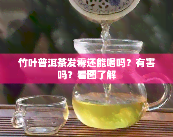 竹叶普洱茶发霉还能喝吗？有害吗？看图了解