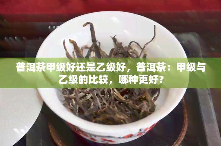 普洱茶甲级好还是乙级好，普洱茶：甲级与乙级的比较，哪种更好？