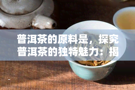 普洱茶的原料是，探究普洱茶的独特魅力：揭秘其原料来源