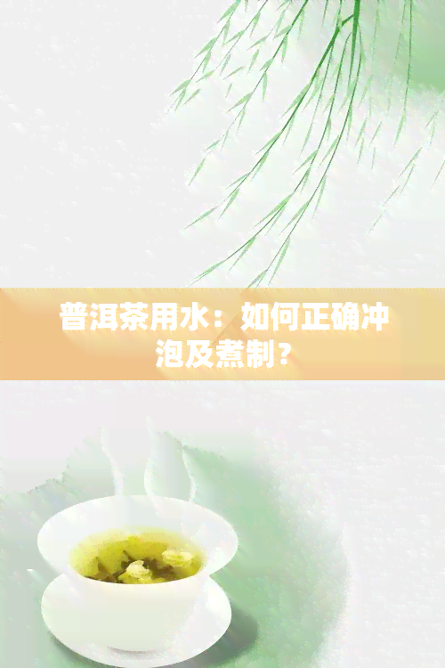 普洱茶用水：如何正确冲泡及煮制？