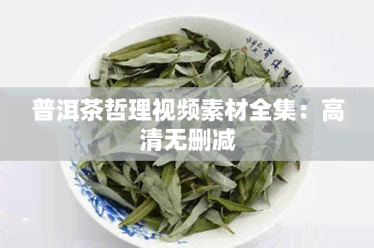 普洱茶哲理视频素材全集：高清无删减