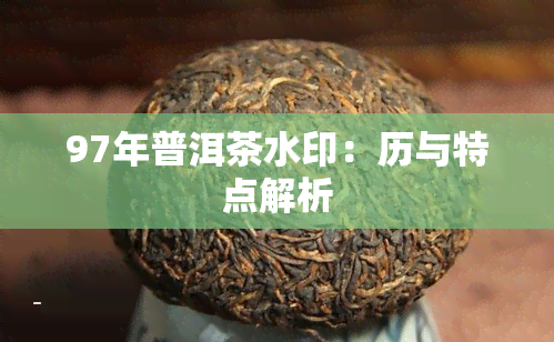 97年普洱茶水印：历与特点解析