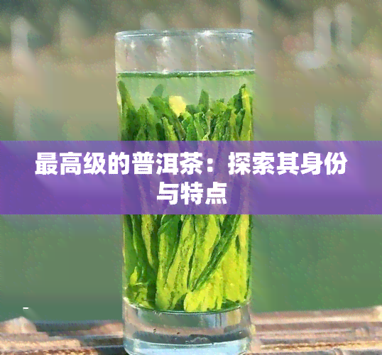 更高级的普洱茶：探索其身份与特点