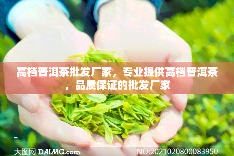 高档普洱茶批发厂家，专业提供高档普洱茶，品质保证的批发厂家