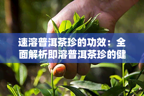 速溶普洱茶珍的功效：全面解析即溶普洱茶珍的健益处