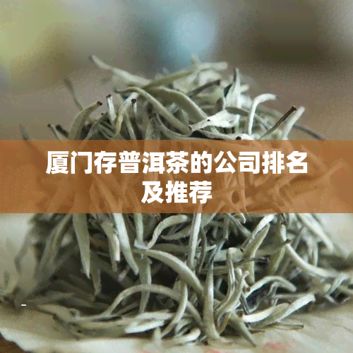 厦门存普洱茶的公司排名及推荐