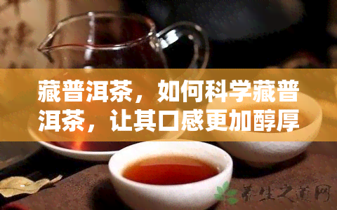 藏普洱茶，如何科学藏普洱茶，让其口感更加醇厚？