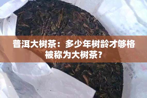 普洱大树茶：多少年树龄才够格被称为大树茶？