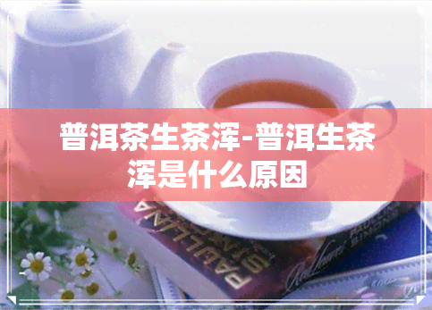 普洱茶生茶浑-普洱生茶浑是什么原因